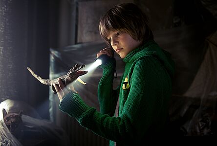 Das Haus der Krokodile